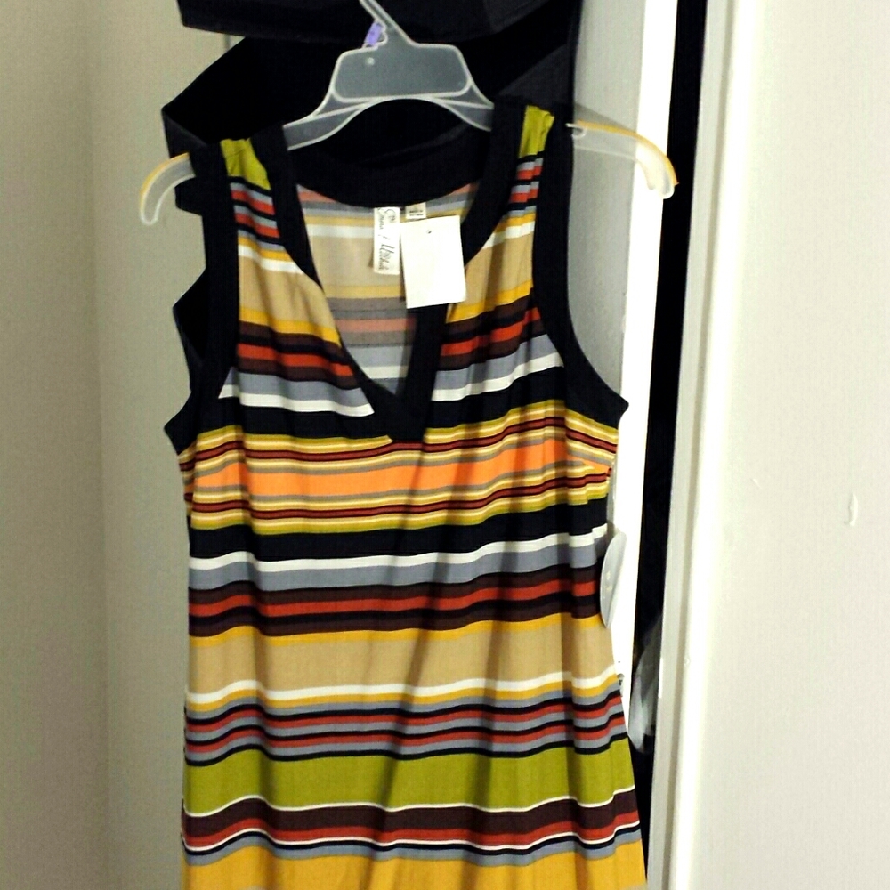 Sleeveless mid length dress.  Fall colors.  Cal